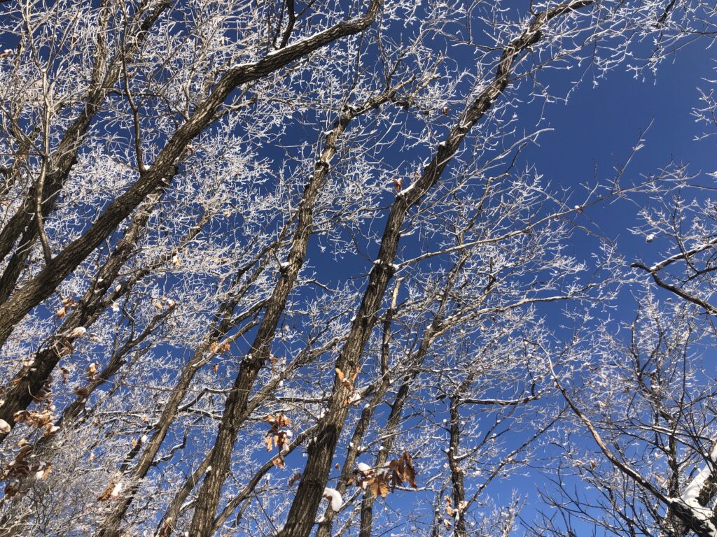 Korea winter's clear sky after snowing